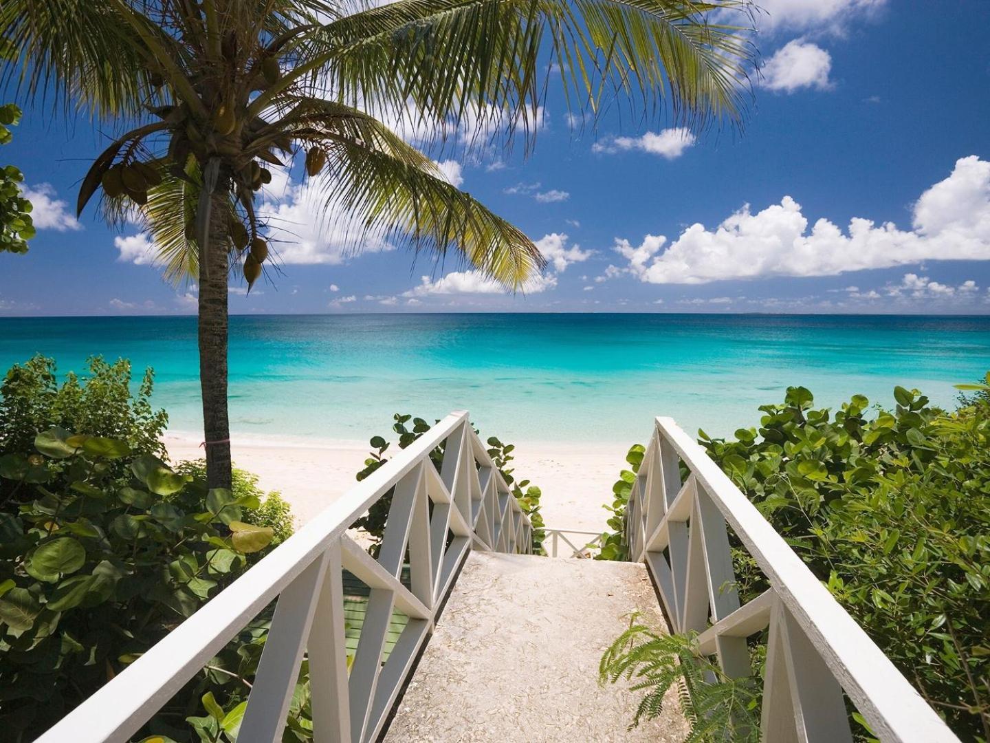 Вілла Tranquil Paradise 4Br - 2 Miles To Tampa Bucs Stadium Екстер'єр фото